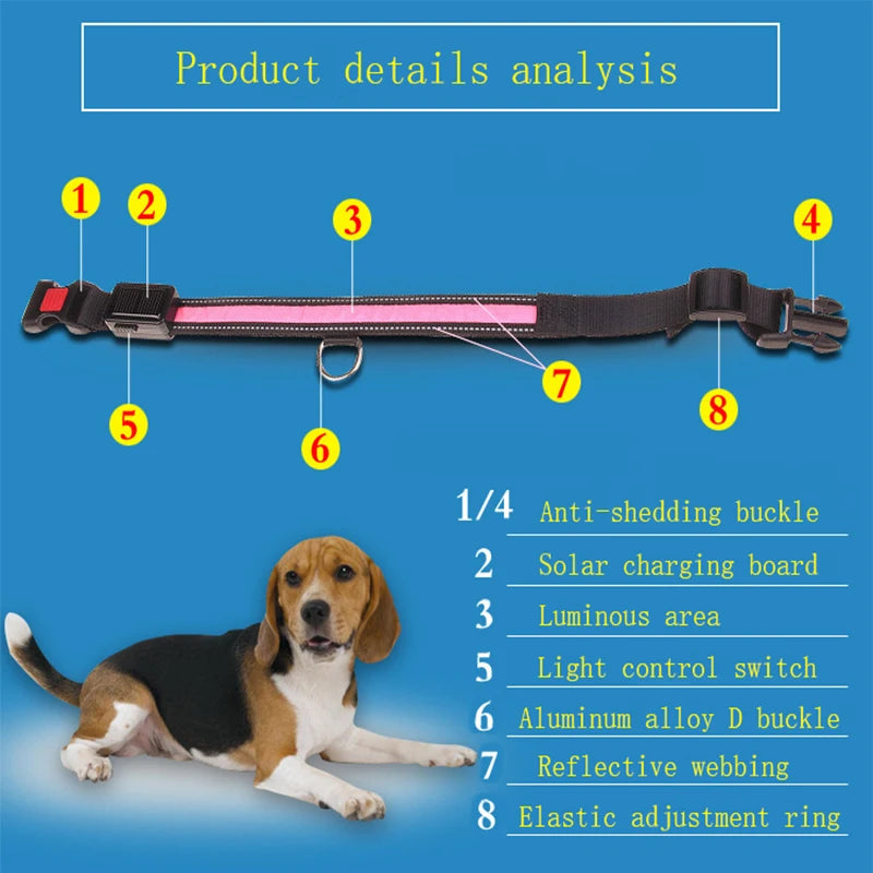 Solar Charging Led Collar