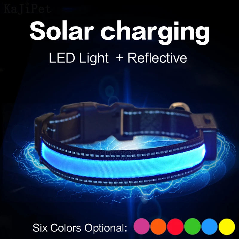 Solar Charging Led Collar