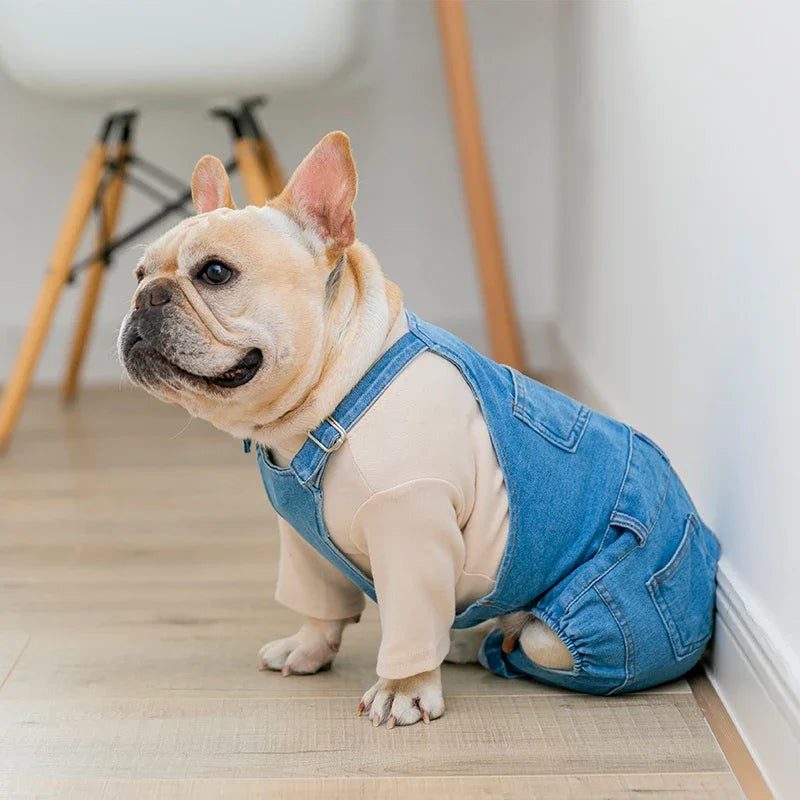 Denim Jumpsuit