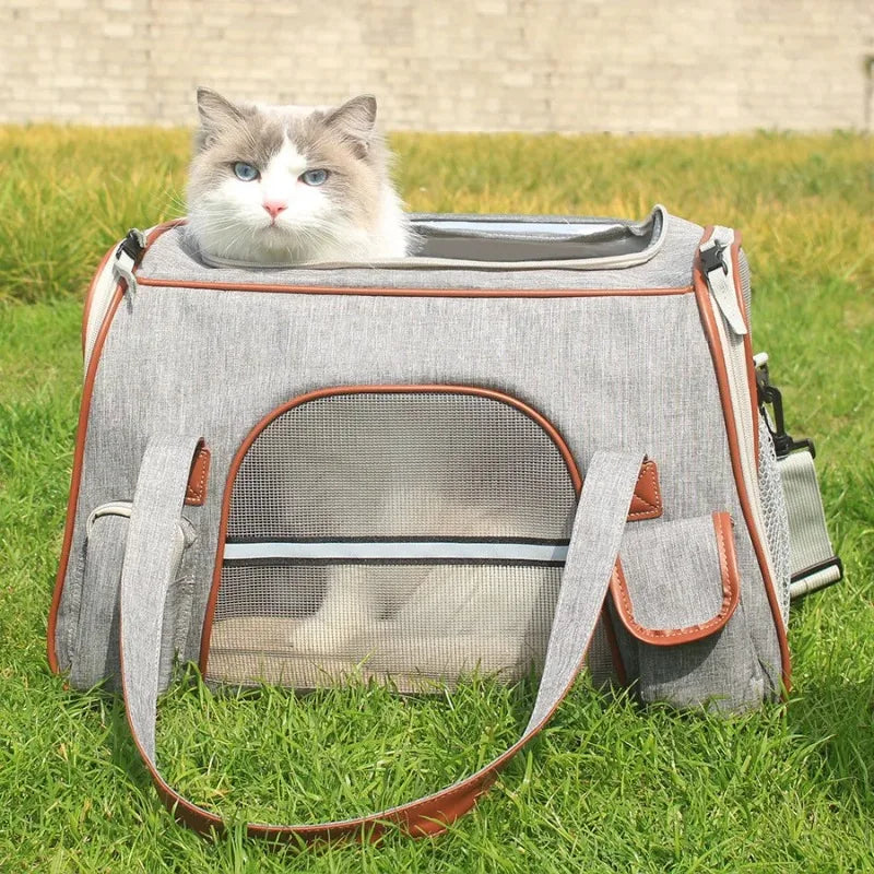 Airline Approved Small Dog/Cat Carrier