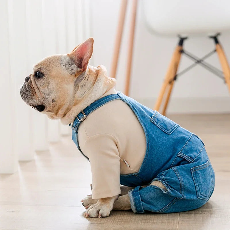 Denim Jumpsuit