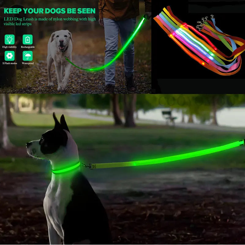 Rechargeable Glowing LED Dog Leash