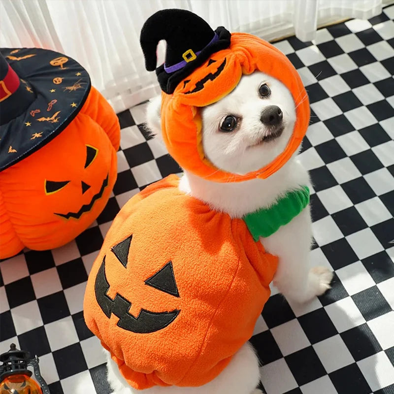 Pumpkin Costume